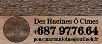 Des Racines ô Cimes - Élagage / travaux en hauteur  - Espace vert / Paysagiste - iBat.nc